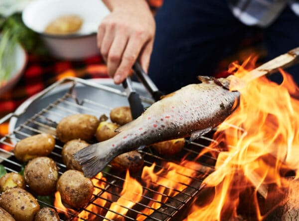 Fisch und Gemüse,  leichte französische Küche